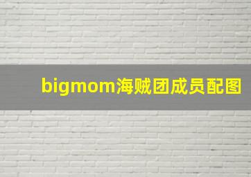 bigmom海贼团成员配图