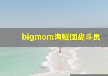 bigmom海贼团战斗员