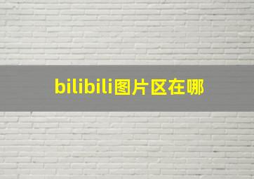 bilibili图片区在哪