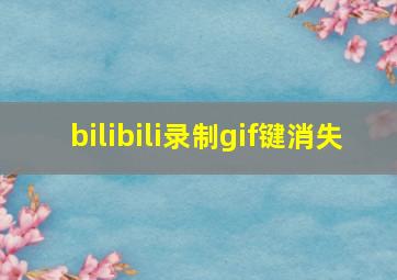 bilibili录制gif键消失