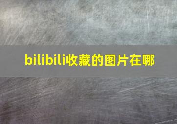 bilibili收藏的图片在哪