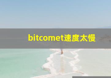 bitcomet速度太慢