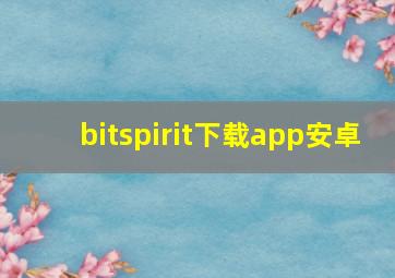 bitspirit下载app安卓