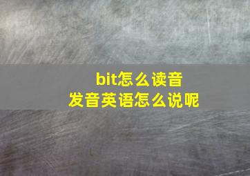 bit怎么读音发音英语怎么说呢