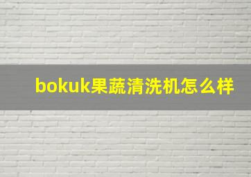 bokuk果蔬清洗机怎么样