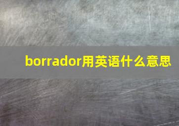 borrador用英语什么意思