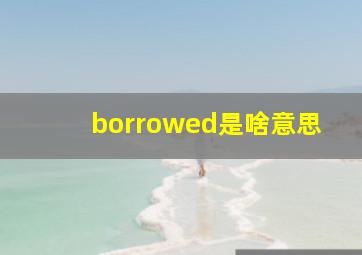 borrowed是啥意思