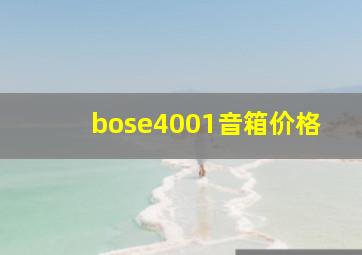 bose4001音箱价格