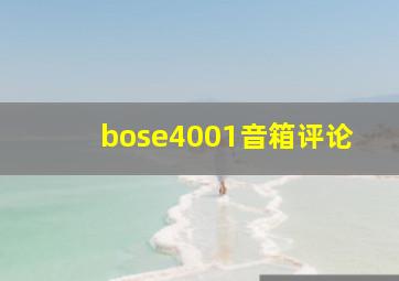 bose4001音箱评论