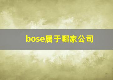 bose属于哪家公司