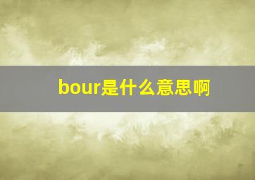 bour是什么意思啊