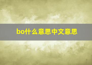 bo什么意思中文意思