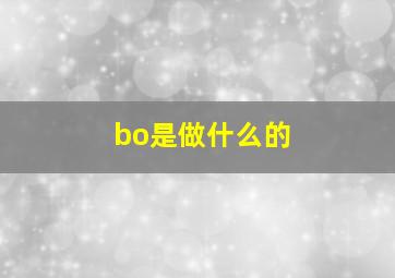 bo是做什么的