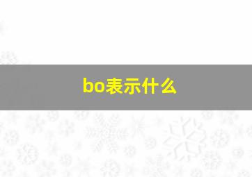 bo表示什么