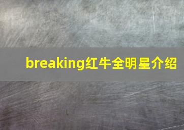 breaking红牛全明星介绍