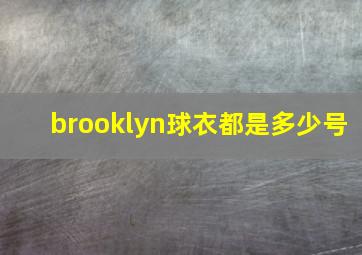 brooklyn球衣都是多少号