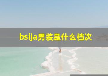 bsija男装是什么档次