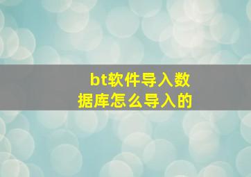 bt软件导入数据库怎么导入的