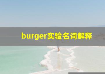 burger实验名词解释