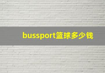 bussport篮球多少钱