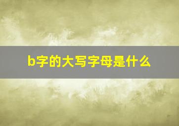 b字的大写字母是什么