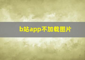 b站app不加载图片