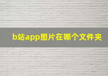 b站app图片在哪个文件夹