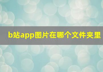 b站app图片在哪个文件夹里