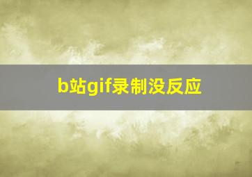 b站gif录制没反应