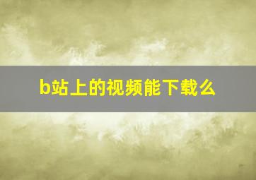 b站上的视频能下载么