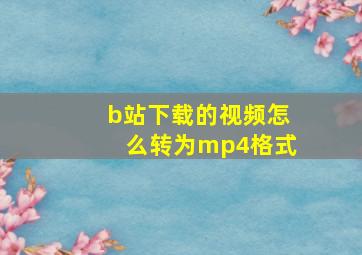 b站下载的视频怎么转为mp4格式