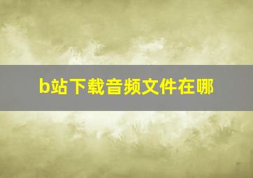 b站下载音频文件在哪