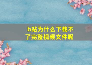 b站为什么下载不了完整视频文件呢