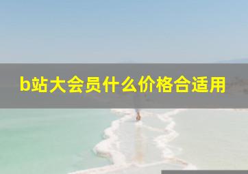 b站大会员什么价格合适用