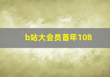 b站大会员首年108