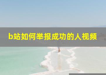 b站如何举报成功的人视频