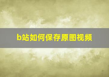 b站如何保存原图视频