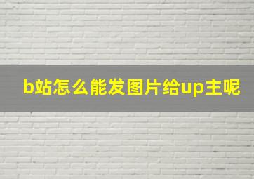 b站怎么能发图片给up主呢