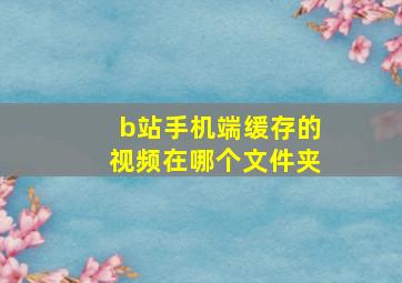 b站手机端缓存的视频在哪个文件夹