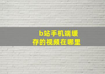 b站手机端缓存的视频在哪里