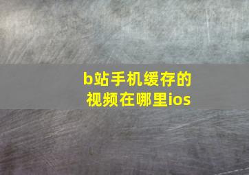 b站手机缓存的视频在哪里ios