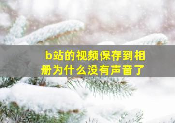 b站的视频保存到相册为什么没有声音了