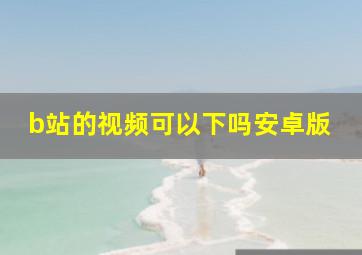 b站的视频可以下吗安卓版