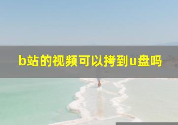 b站的视频可以拷到u盘吗