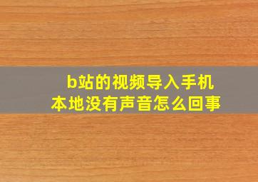 b站的视频导入手机本地没有声音怎么回事