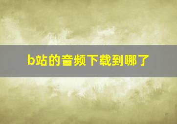 b站的音频下载到哪了