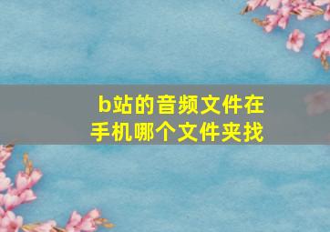 b站的音频文件在手机哪个文件夹找