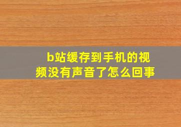 b站缓存到手机的视频没有声音了怎么回事