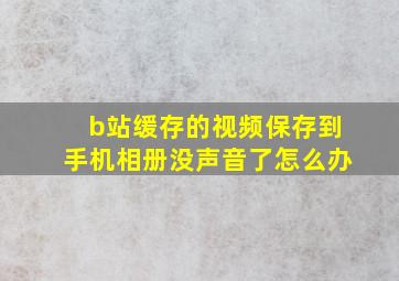 b站缓存的视频保存到手机相册没声音了怎么办