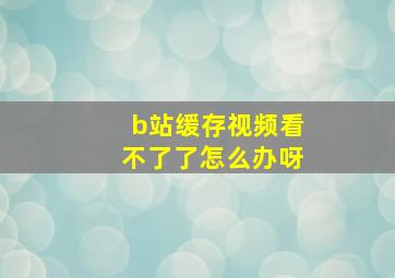 b站缓存视频看不了了怎么办呀